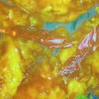 Best General Tso's Chicken in Katy, TX