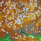 Best Sesame Chicken in Katy, TX